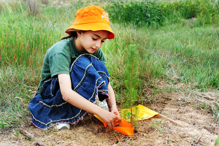  Why Do We Celebrate Tu Bi’Shvat?